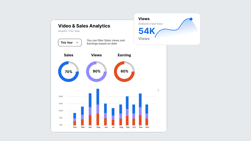 Video analytics dashboard showing views, sales and earnings by month